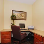Best Western South Plains Inn & Suites 